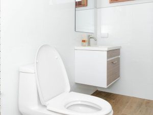 Mau nha lap ghep panel dep