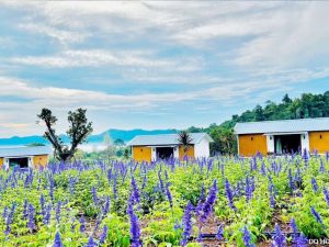 Nha lap ghep cho khu nghi duong duoi 150tr