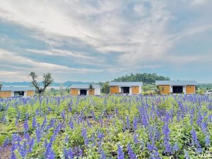 Nha lap ghep cho khu nghi duong tai da nang duoi 120tr