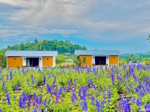 Nha lap ghep cho khu nghi duong tai da nang duoi 150tr